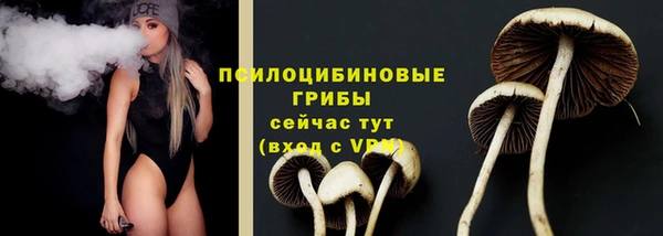 прущая мука Абаза