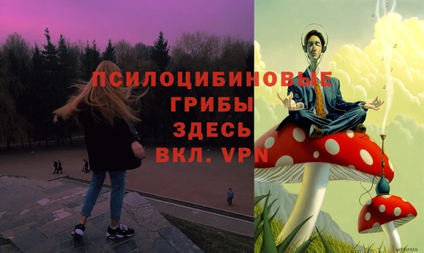 мяу мяу мука Приозерск
