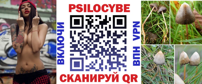 купить  цена  Абаза  Галлюциногенные грибы ЛСД 